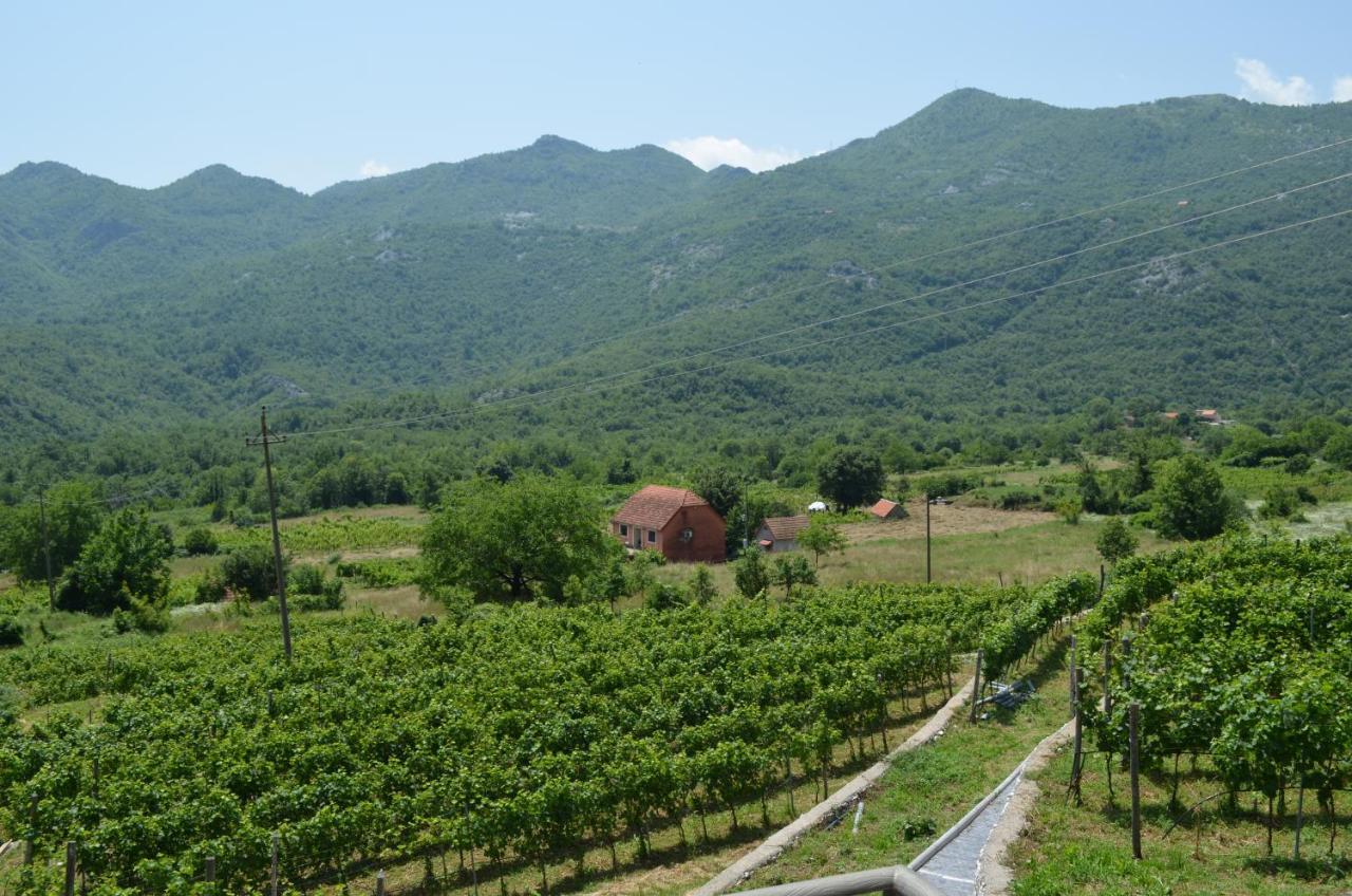 Markovic Winery And Estate Apartments Цетинє Екстер'єр фото